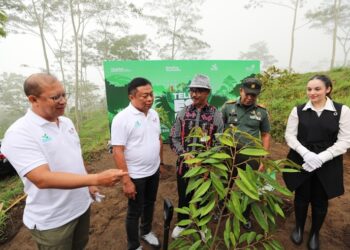 Telkom ESG Day, Tanam 1.000 Pohon