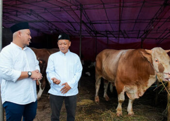 Grab Indonesia dan OVO Sumbang Hewan Kurban