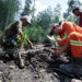 Indonesia Weda Bay Industrial Park Tanam Satu Juta Mangrove