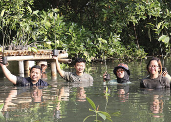 Aksi Tanam Mangrove Arya Noble Group 