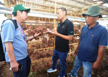 Delegasi 20 Negara Pelajari Inovasi Bawang Merah di Indonesia