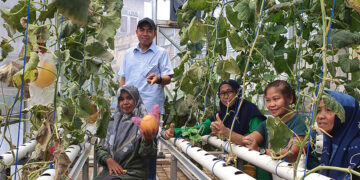 Kelompok Wanita Tani “Good Farm” Kembangkan Tanaman Produksi